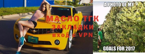 молекула духа Арсеньев