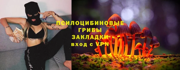 молекула духа Арсеньев
